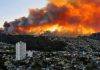 En Chile un incendio foresta