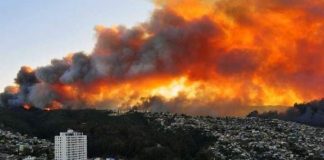 En Chile un incendio foresta