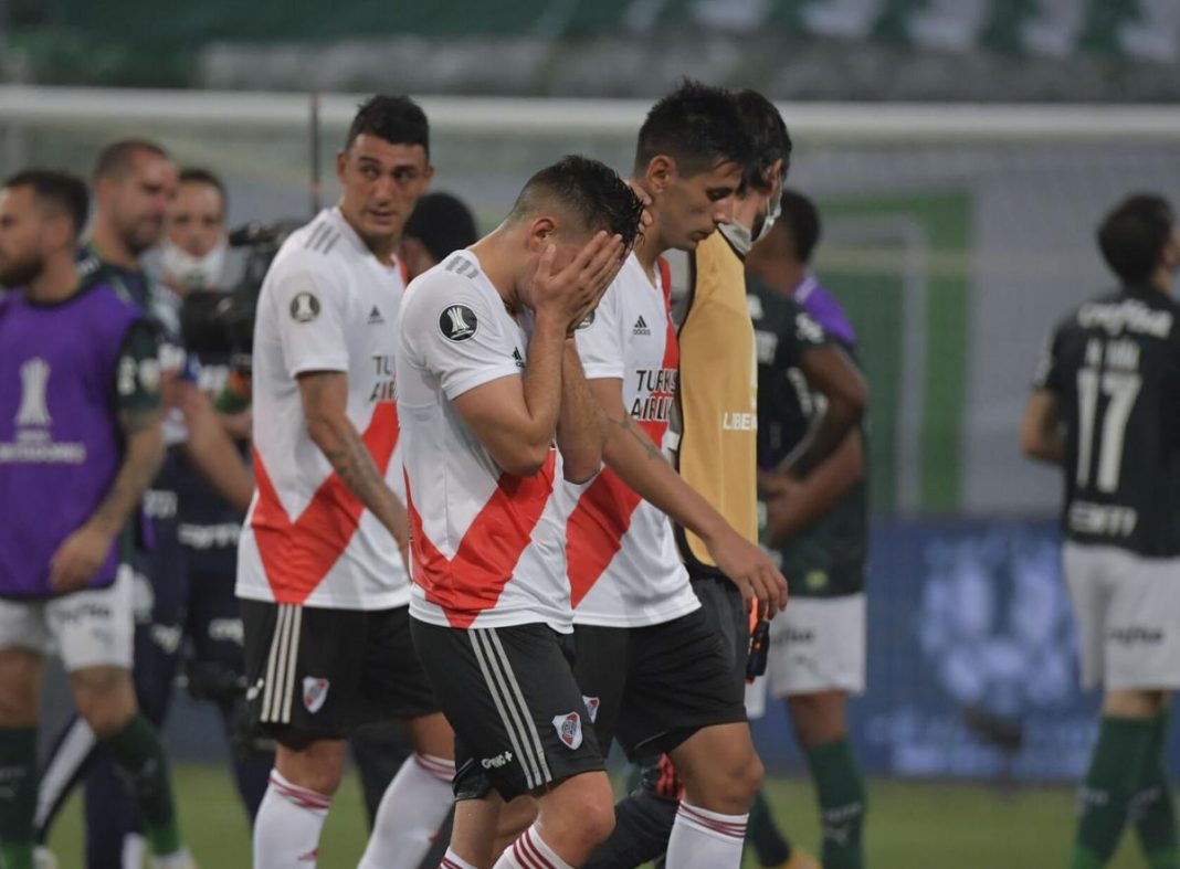 river-palmeiras