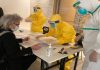 Científicos de la OMS confirman origen animal del coronavirus Wuhan