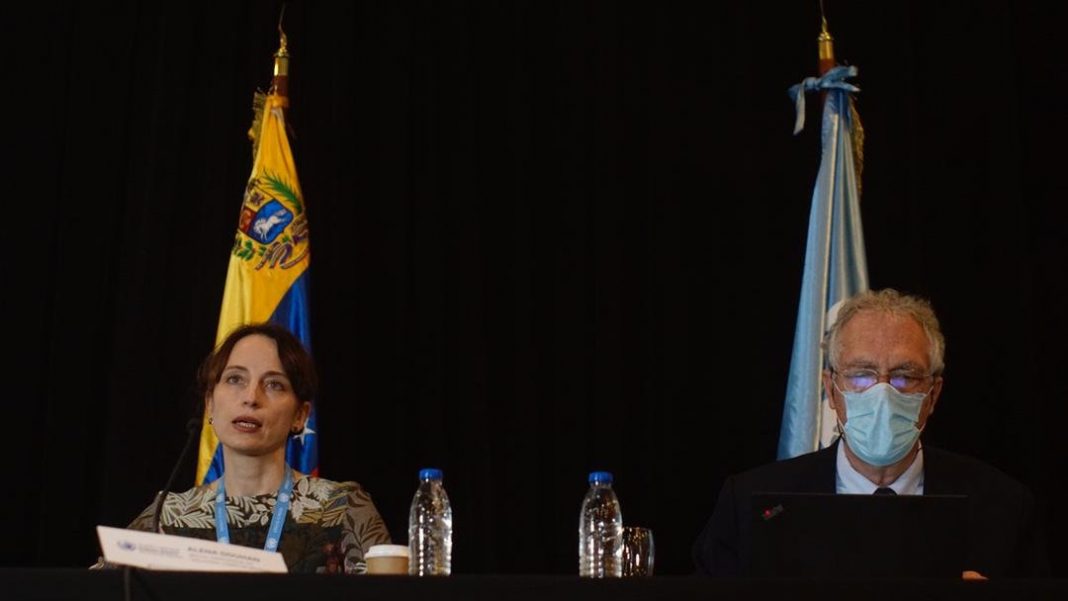 Relatora de ONU Relatora de ONU