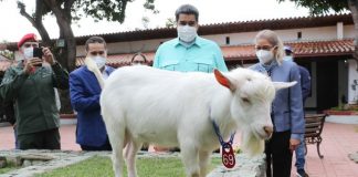 Plan de Defensa y Seguridad del campo