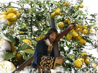 andres-eloy-blanco-el limonero del señor 5