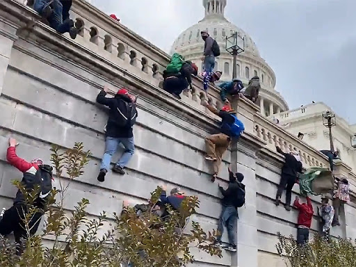 capitol FBI clasificó