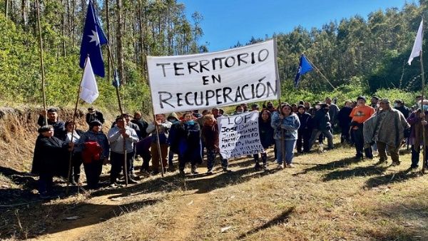 mapuches