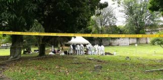 En Colombia hallan 906 cuerpos