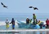 Pdte. Maduro felicita a los pescadores artesanales de la Patria pescadores artesanales