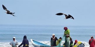 pescadores artesanales