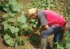 Federación Campesina de Venezuela propone reforma de leyes