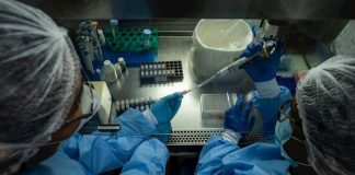 Detectan en Brasil nueva variante