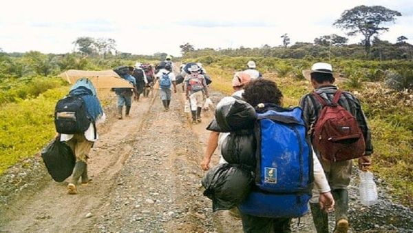 desplazamiento_colombia.jpg_1718483347 Colombia