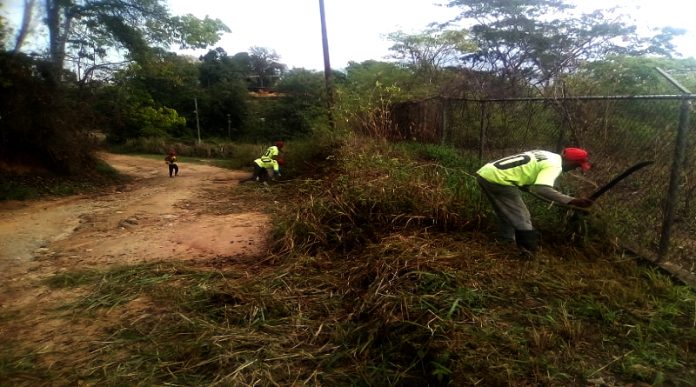 Avanzan labores de saneamiento y desmalezado en el eje occidental de Carabobo Avanzan labores de saneamiento y desmalezado en el eje occidental de Carabobo