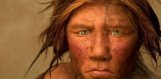 relaciones sexuales de los neandertales