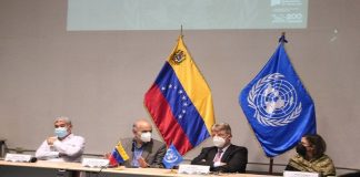 Ricardo Menéndez: Venezuela desarrollará capacidades productivas