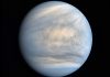 Venus