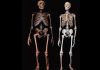 ¿Sabías por qué se extinguieron los neandertales? Los neandertales