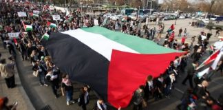 Liberación de Palestina