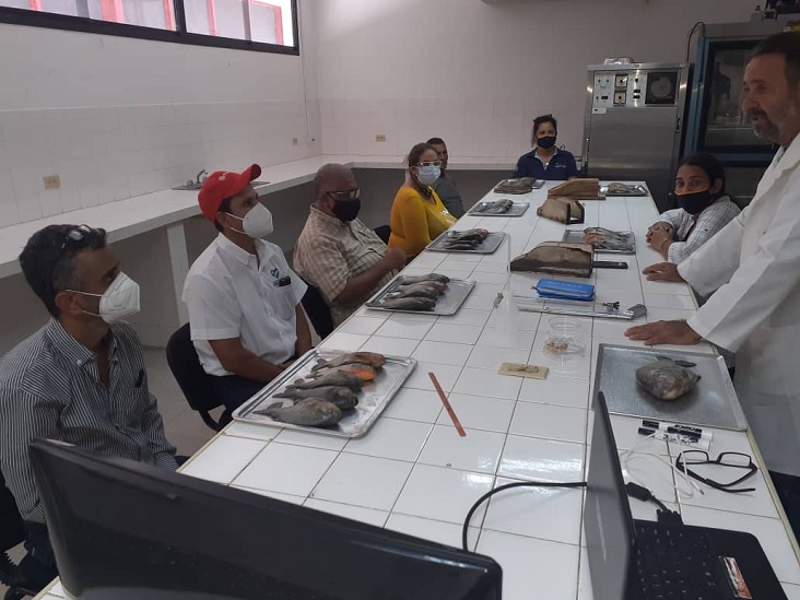 peces Venezuela producirá extracto hipofisiario