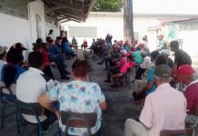 proyecto gas flor amarillo