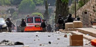 300 palestinos