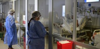 Hongo negro cobra primera víctima en Argentina