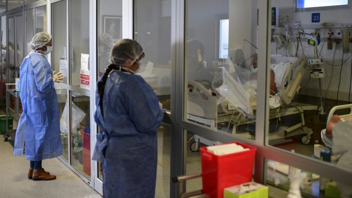 Hongo negro cobra primera víctima en Argentina