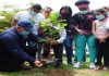 Misión Árbol inicia la siembra de «Un Árbol por Calle» Un Árbol por Calle
