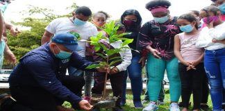 Un Árbol por Calle