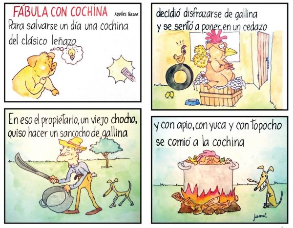 Nazoa 6