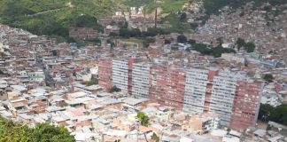 cuerpos de seguridad
