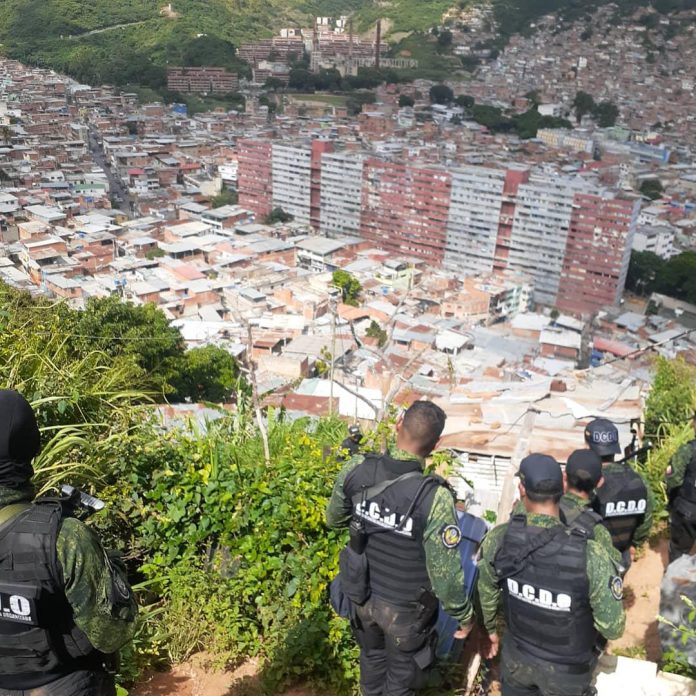 cuerpos de seguridad