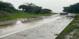 Tormenta Elsa