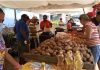 Feria del Campo Soberano favorece a más de 5 mil familias en Puerto Cabello Feria del Campo Soberano favorece a familias en Puerto Cabello