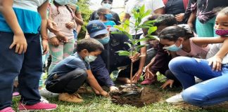 Movimiento Nacional Guardianes del Árbol