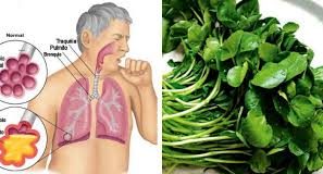 Cómo limpiar los pulmones con remedios naturales