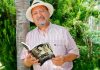 #Opinión David