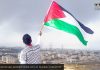 Solidaridad-pueblo palestino