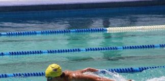 Alfonso Mestre