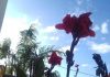 cielos despejados sin lluvias