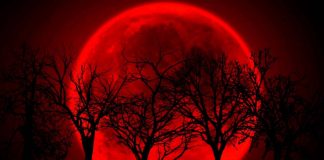 luna roja