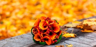Otoño de una flor