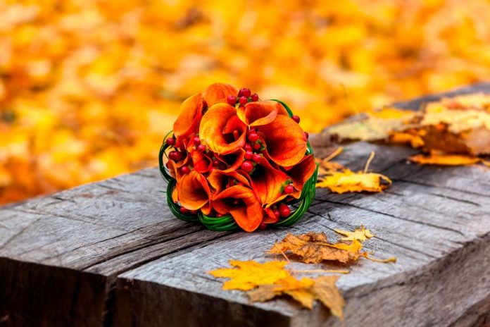 Otoño de una flor