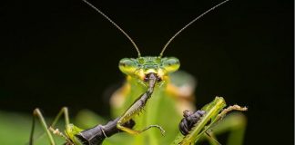 fotografías más creativas