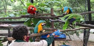 ZooAcuario de Valencia