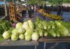 Feria del Campo Soberano