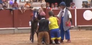 espectáculo taurino