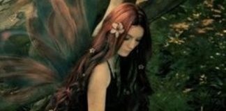 el anillito del elfo-Suiza 2