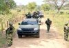 FANB destruye campamento de narcotraficantes en Apure campamento de narcotraficantes