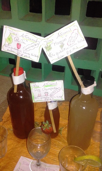 Emprendimiento familiar