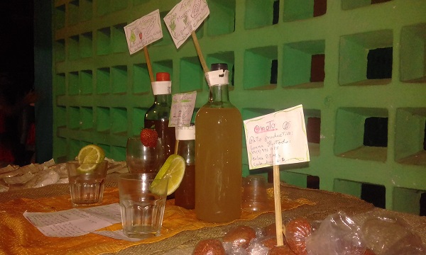 Emprendimiento familiar